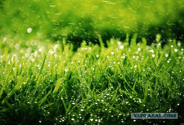 Плюсомет со шпалометом