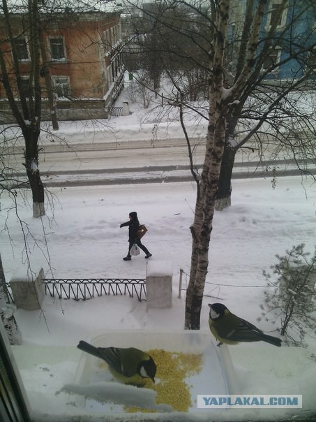 Что у тебя сейчас за окном?:)
