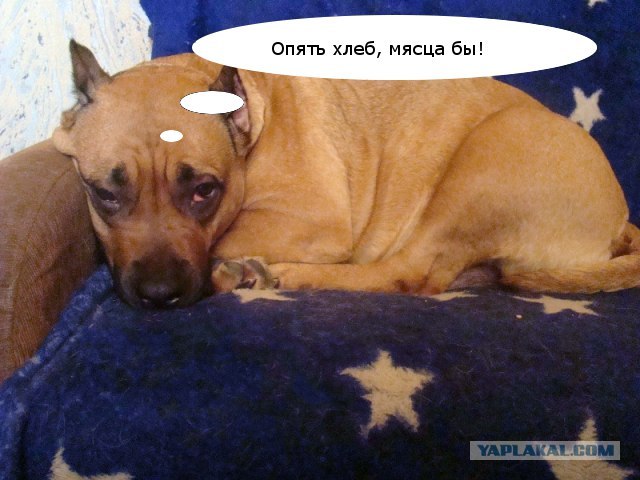 Когда тепло на душе... Хлеб из хлебопечки