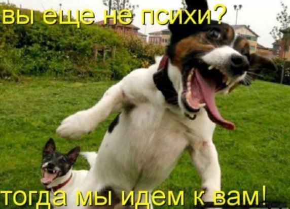 Очередная порция картинок из сети