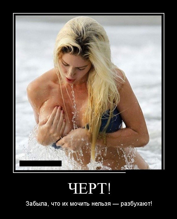 Веселое из сети