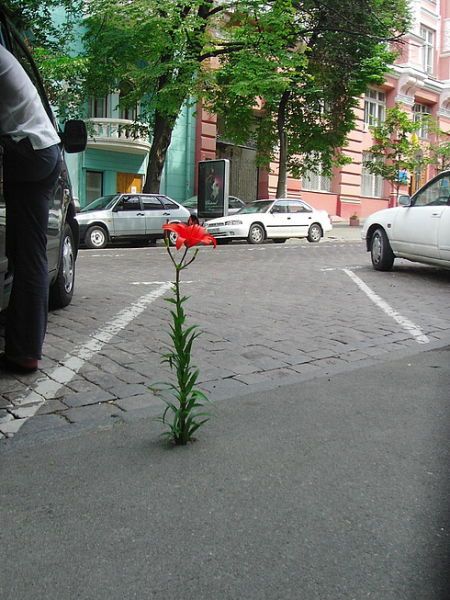 Подборка веселостей из сети