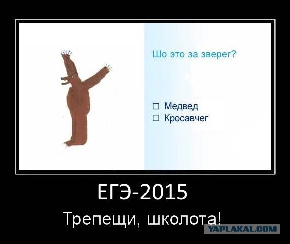 20 сумасшедших сюрпризов из школьных учебников