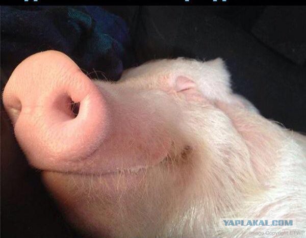 Истории от врачей - 56