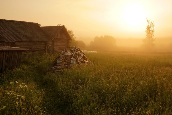 В деревню...