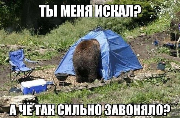 Подборка картинок