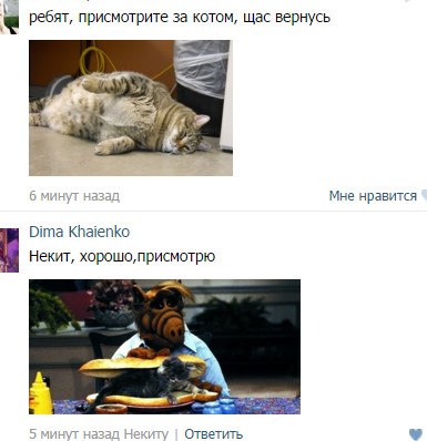 Ужасы и приколы из соцсетей 18+