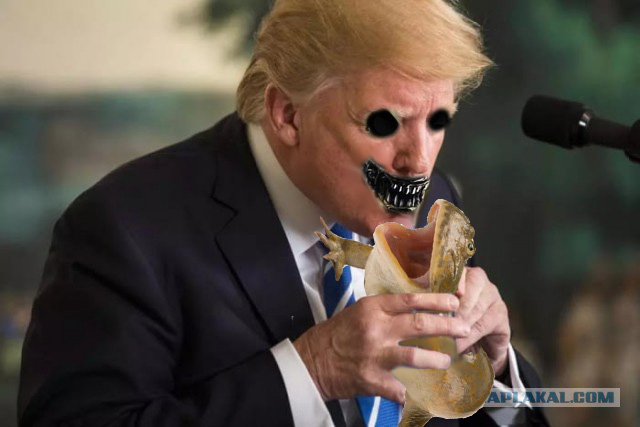 Свежая подпорка жаб на Трампа