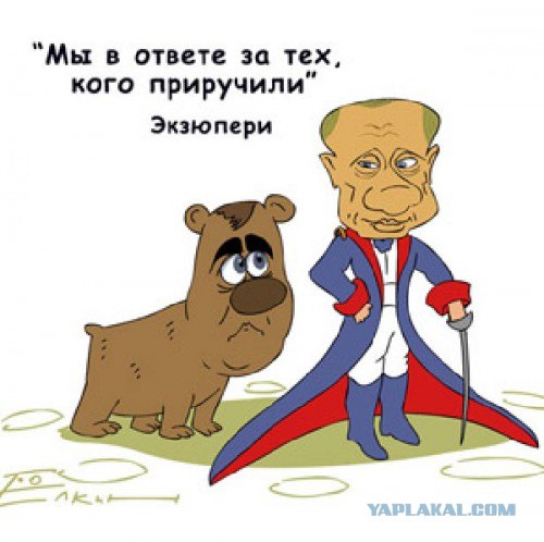 Дальнобойщики изумились предложению Медведева