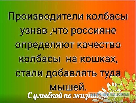 Вся колбаса в магазинах оказалась некачественной.