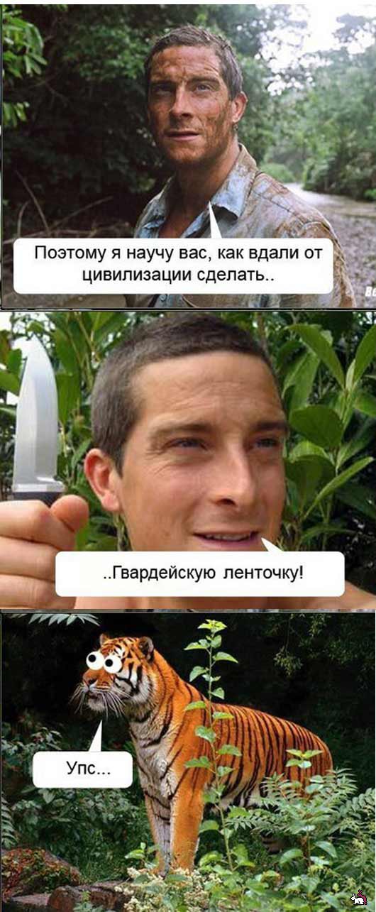 Выживальщики