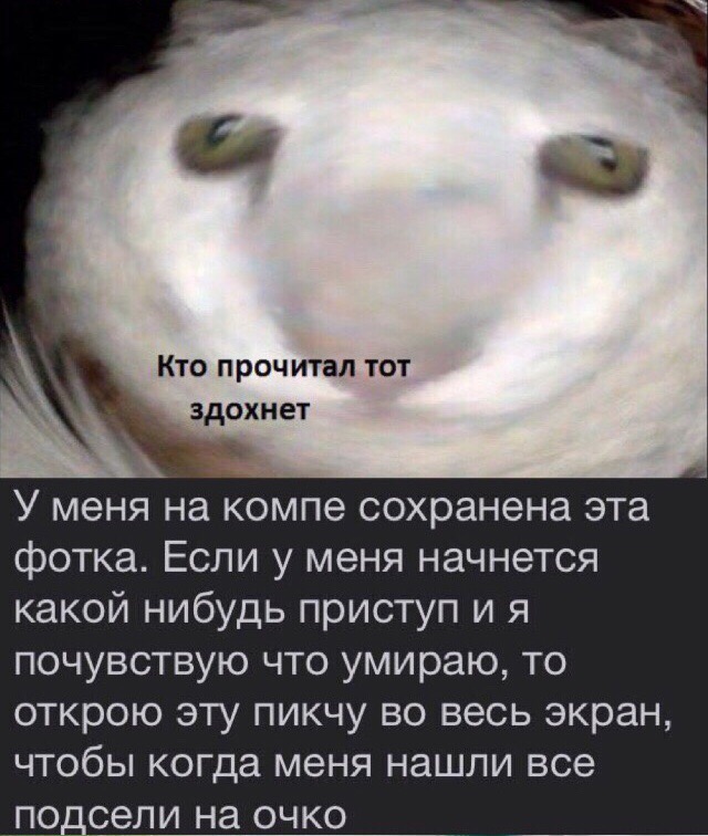 Немного картинок в эту пятницу