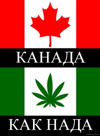 Очереди за марихуаной в Канаде в первый день её легализации