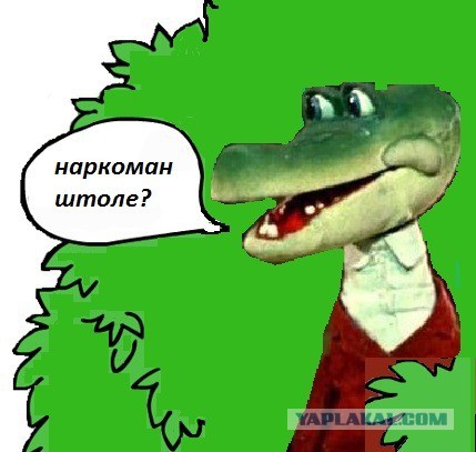 А вы говорите "телевизор"...