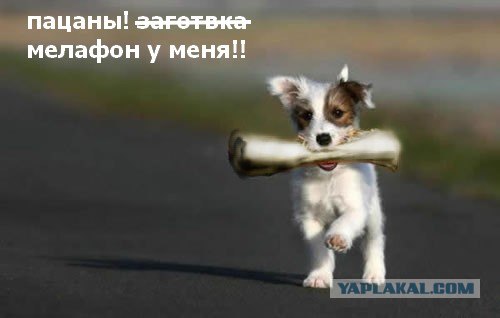Обсуждение: Дуэль по Фотожабе номер 1
