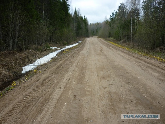 Красота сельских дорог