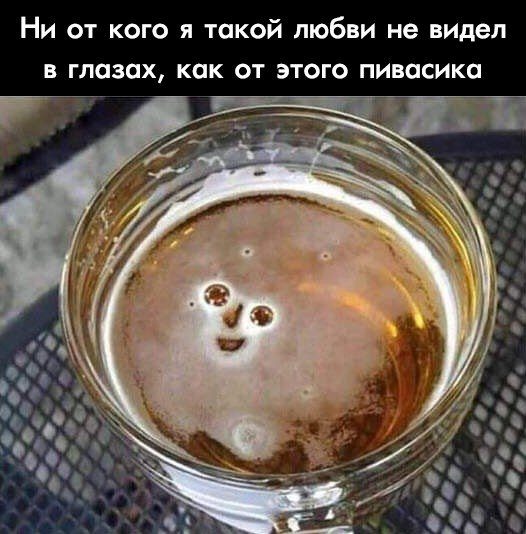 Картинки с надписями,истории и анекдоты