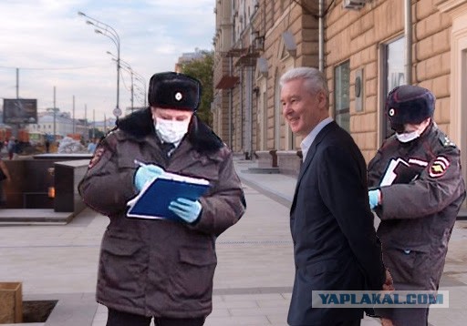 Штраф за нарушение режима самоизоляции. Пострадавшие