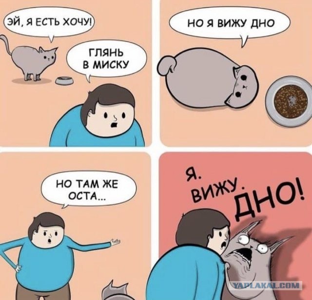 Картинки и мемы для настроения 13.04.2021
