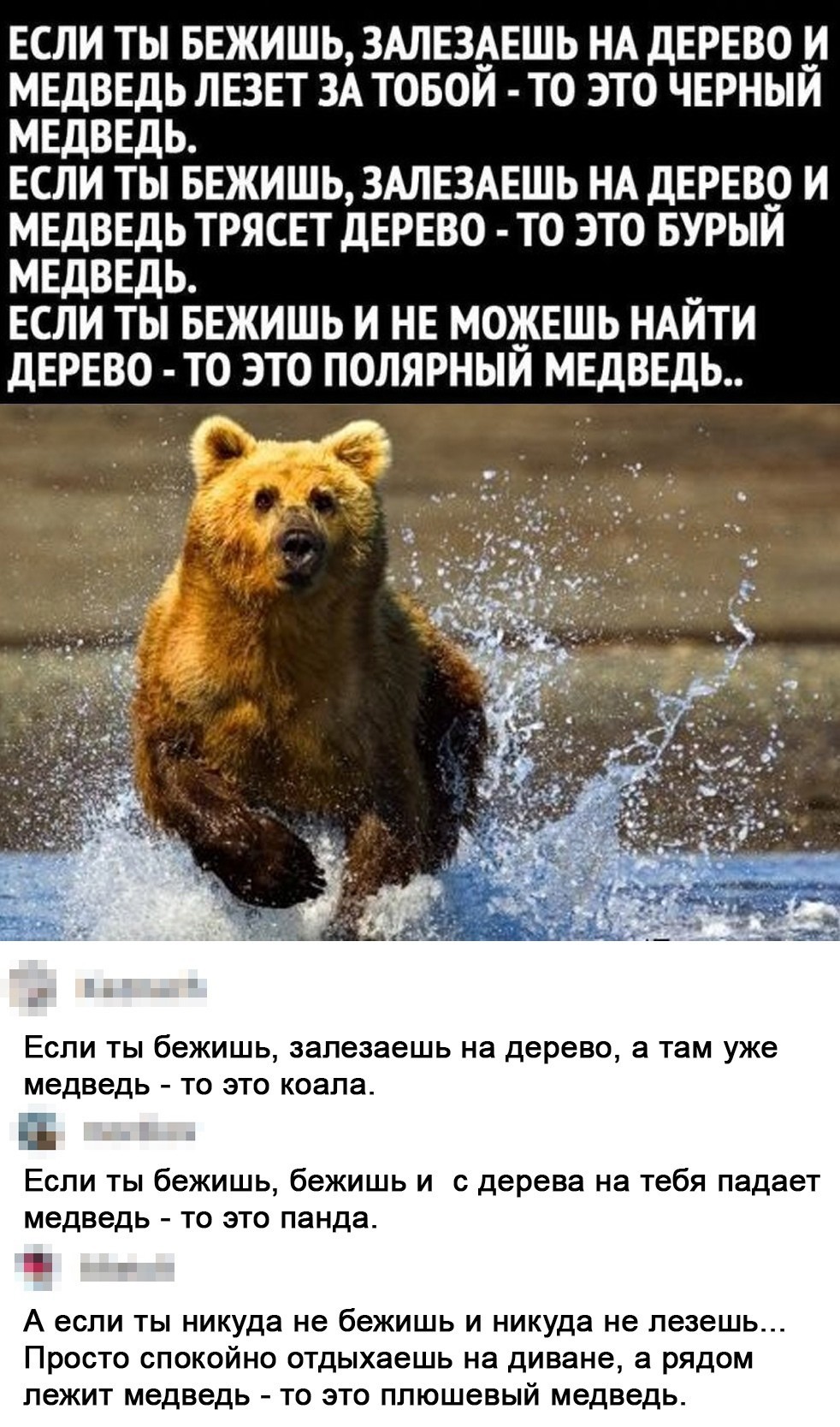 15481266.jpg