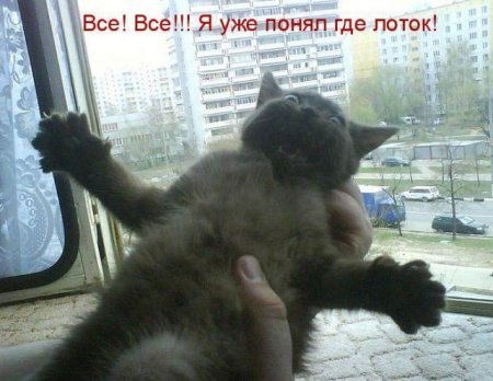Так себе картинки 27.05.21