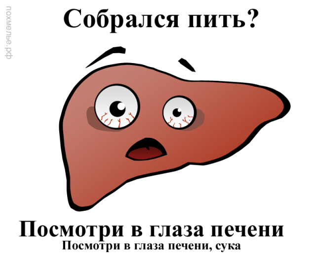 Алкопост. Кто празднику рад - накануне пьян!