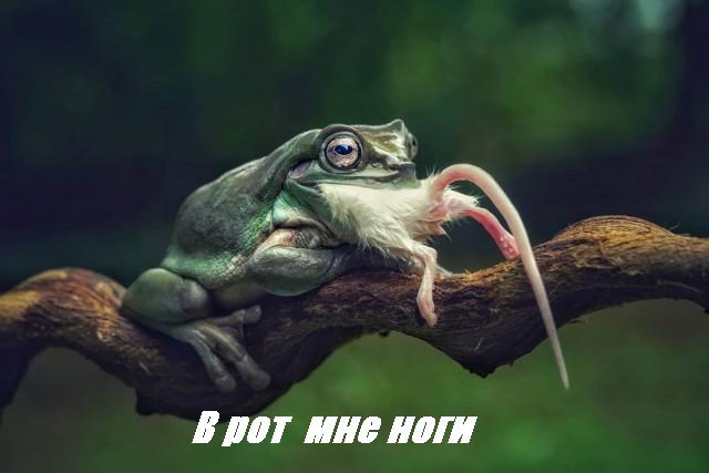 А виноват ты в том, что хочется мне кушать