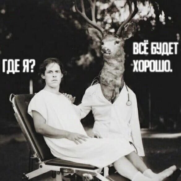 Отвлечься от дичи в жизни. Дичь в картинках - 2