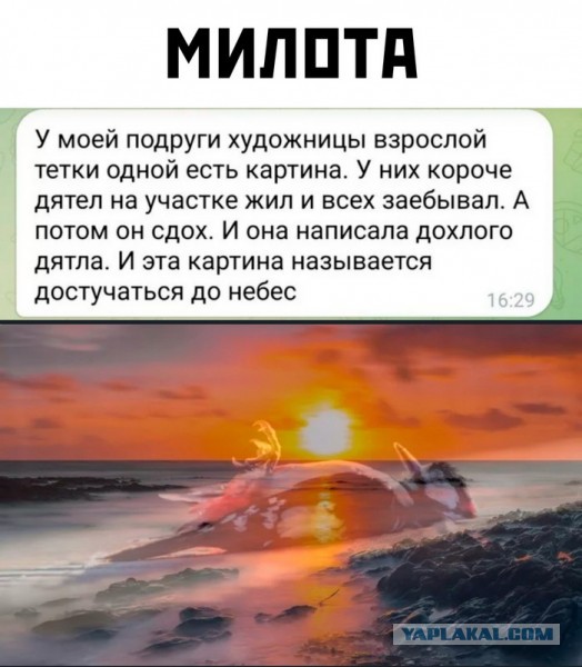 Так себе картинки 26.10.22