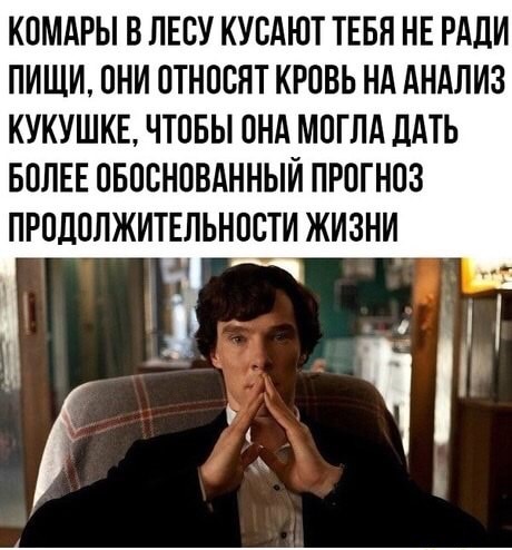 Так себе картинки 03.11.22