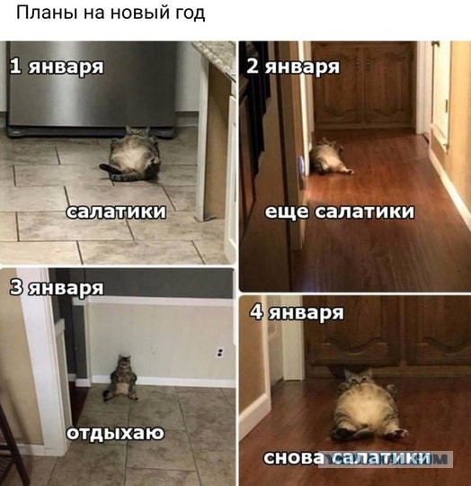 Весёлый полтишок 29.12.22