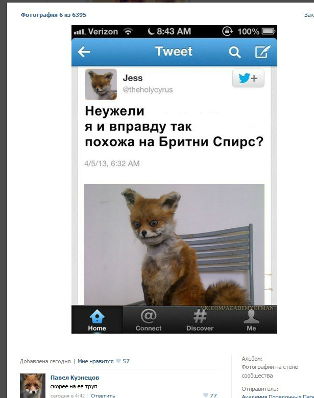 Похожа или нет?