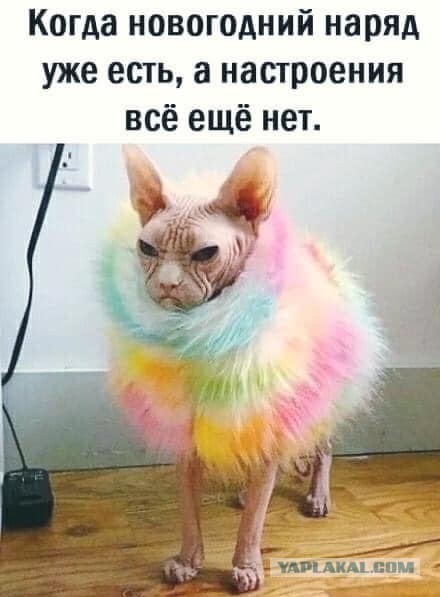 Отряд быстрого деградирования