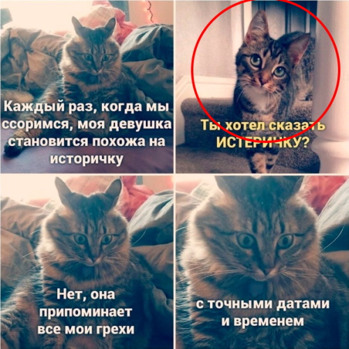 Так себе картинки 26.02.25