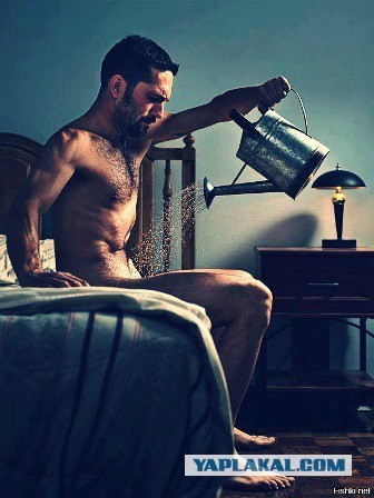 Прелестницы и прелести