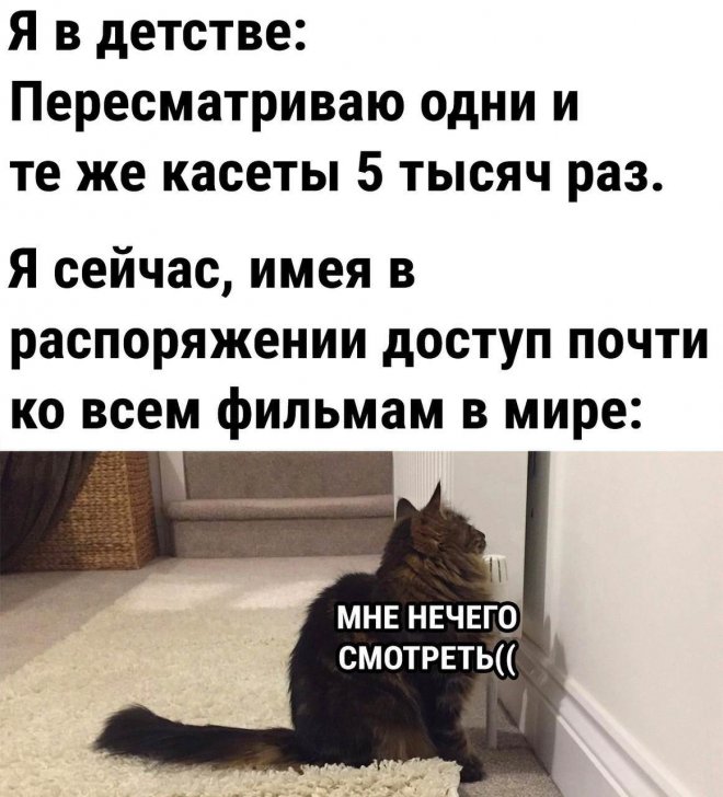 20298266.jpg