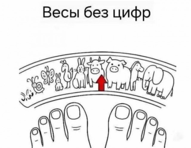 Нуштош 27.08.2025. Когнитивный декаданс (s4e8)