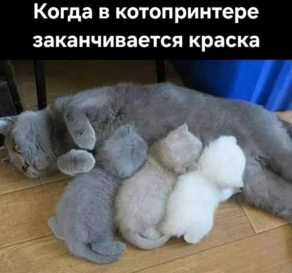 Воскресные картинки