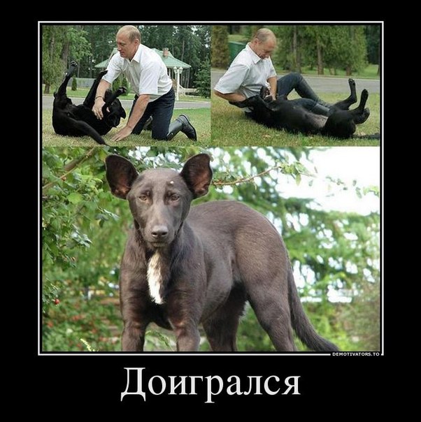 Дочка Владимира Путина