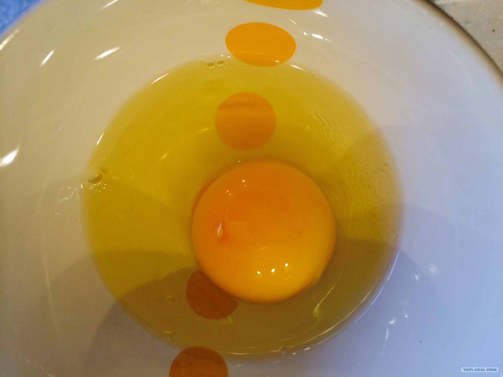 Почему мутные белки яиц. Желтый белок у яйца. Белок в яйце желтого цвета. Белок у яйца желтоватого цвета. Яйцо желтого цвета внутри.