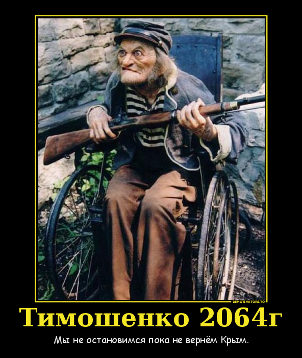 Тимошенко: Мы не остановимся, пока не вернем Крым