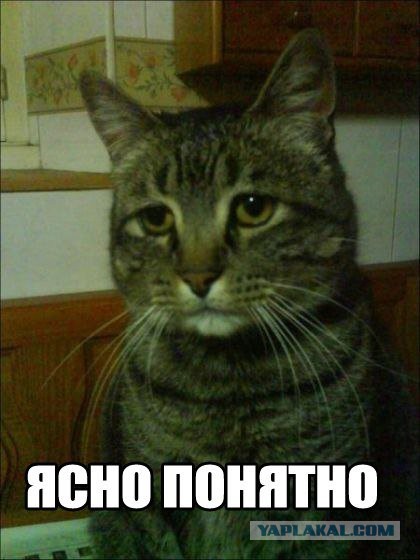 Молодые мамы.