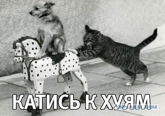 Речь Михалка о войне в Украине и Русском роке