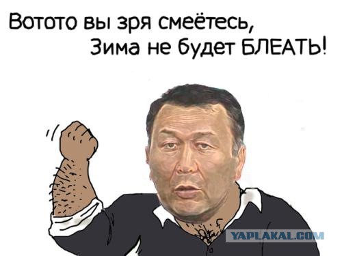 Шарф лиса