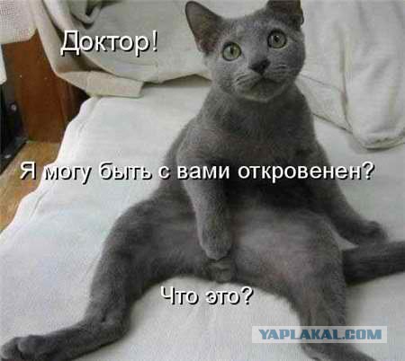 Очередная подборка приколов