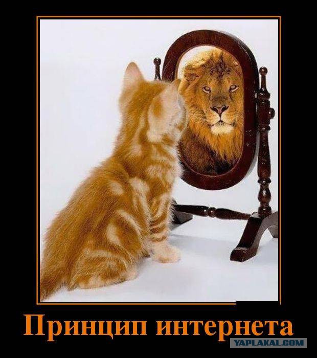 Весёлости
