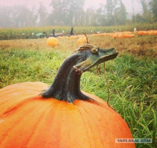 Тут что то не так...