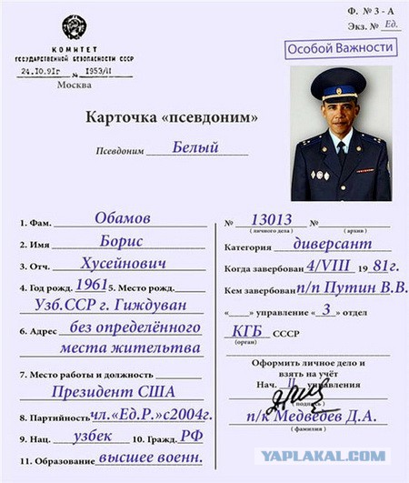 Прикольные картинки и демотиваторы