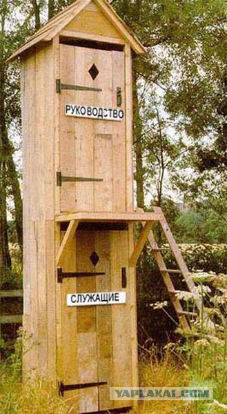 Ходят ли депутаты и чиновники за продуктами