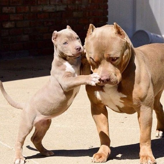 Подборка интересных и смешных картинок